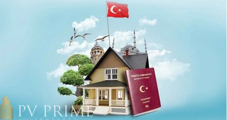 Information about Investment in Turkey